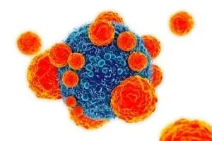 boost your immune system as a resource to help fight any virus
