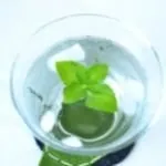 mint water