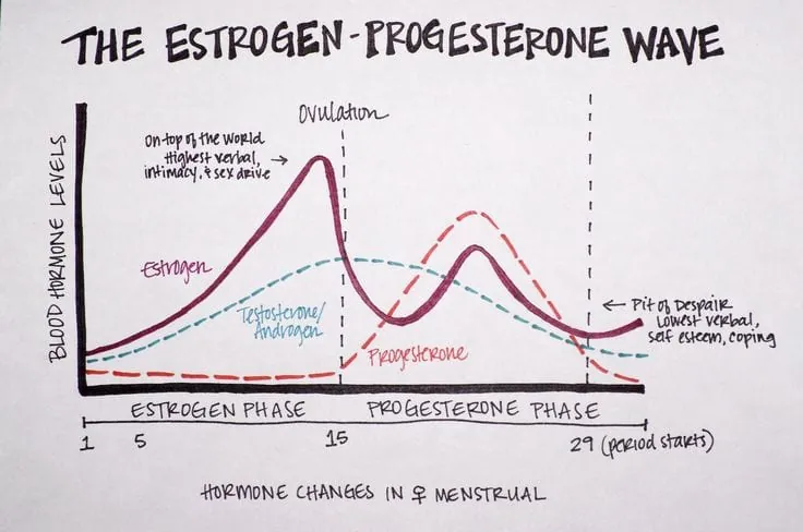 How to optimize female hormones for weight loss with 3 simple tips