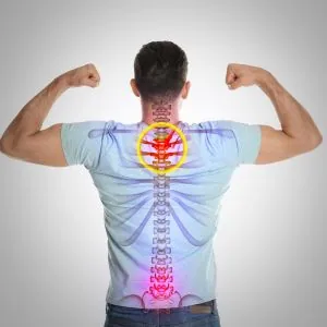 picture of where to fix spinal misalignment with chiropractic treatments